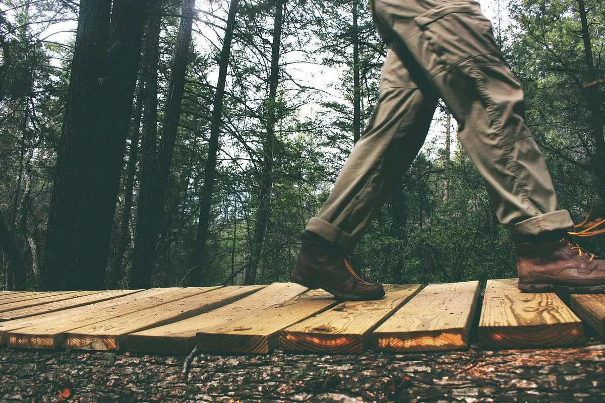 3 Best Camera for Walking Videos