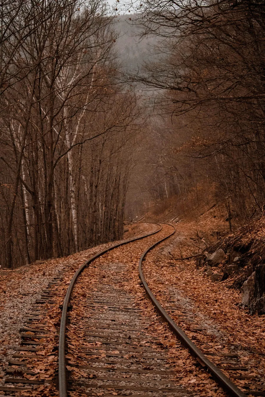 nature scenes
