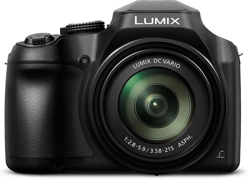 6 Best starter camera for wildlife photography: (2024 Guide & Reviews)