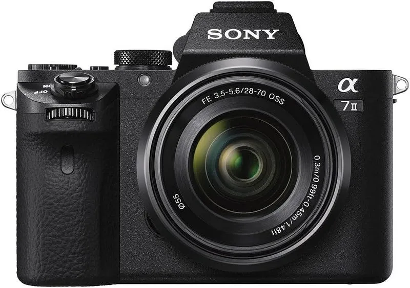 6 Best starter camera for wildlife photography: (2024 Guide & Reviews)