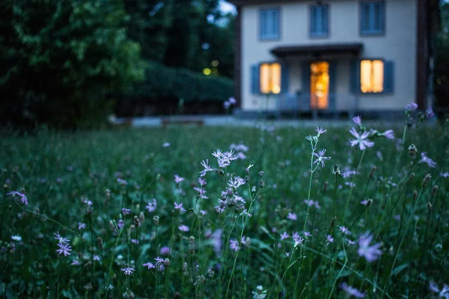 evening