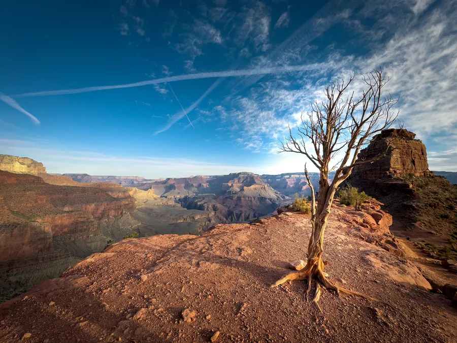 landscape