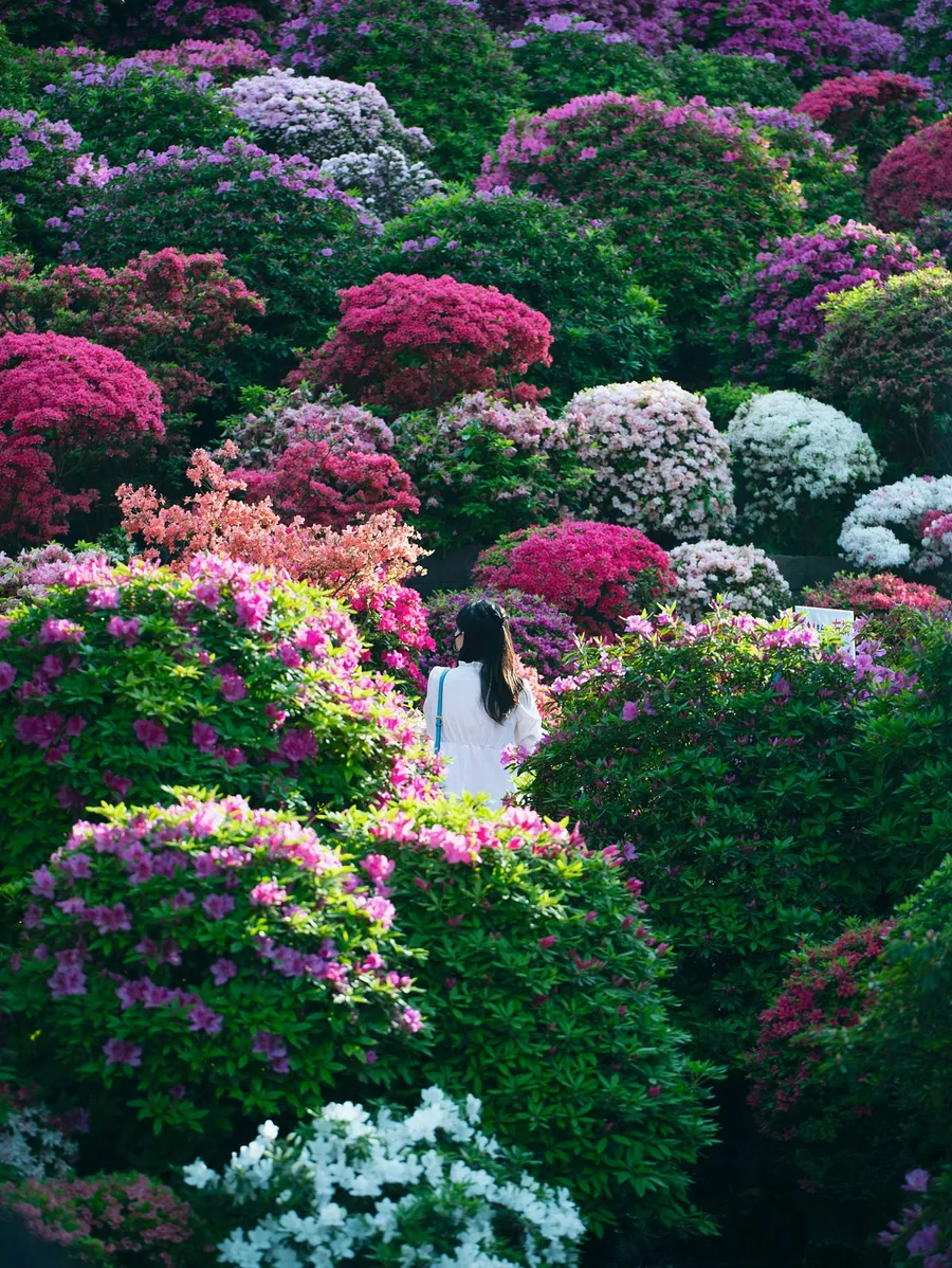 landscape photography