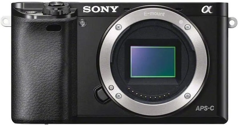 Best Beginner Mirrorless Camera