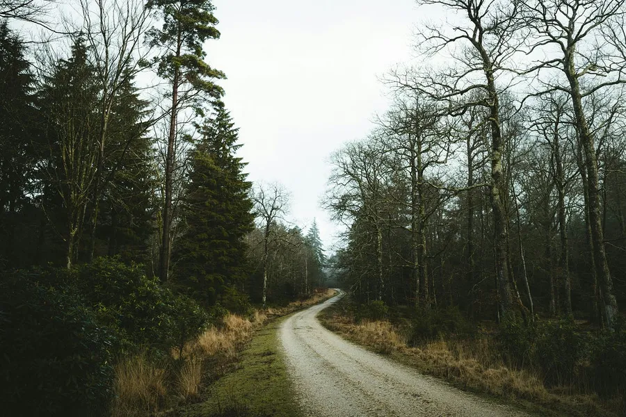 Wide Angle landscape