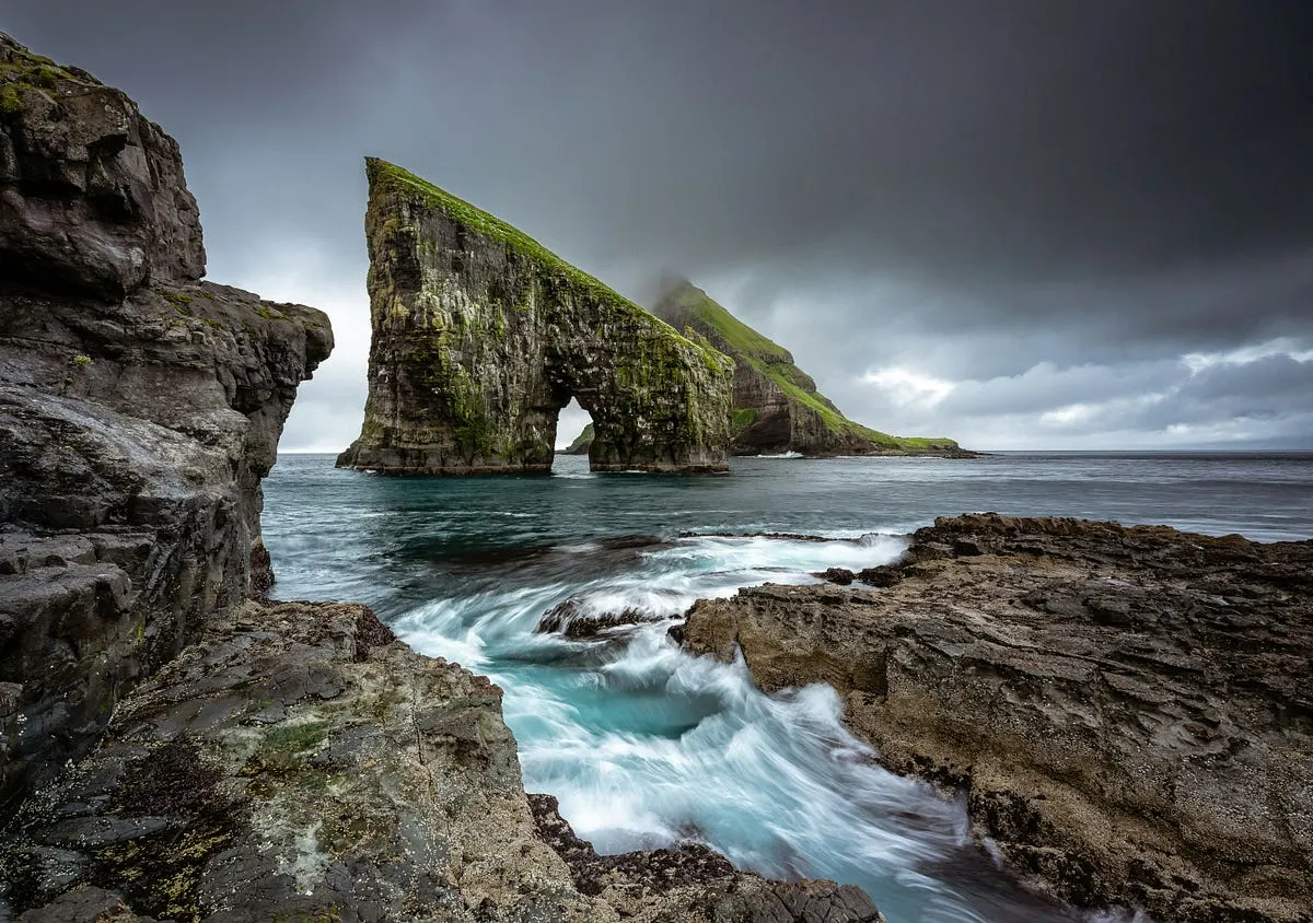 Best Camera for Beginner Nature Photography