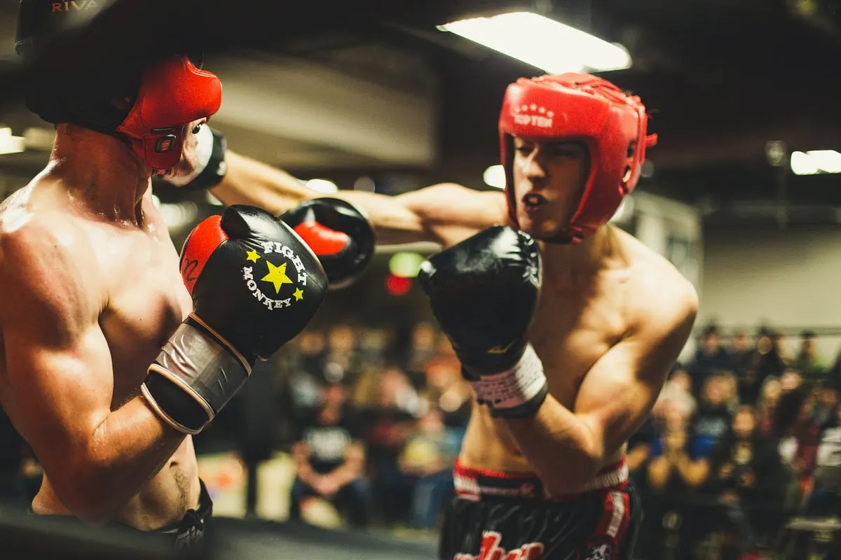 Best Camera For Boxing Photography