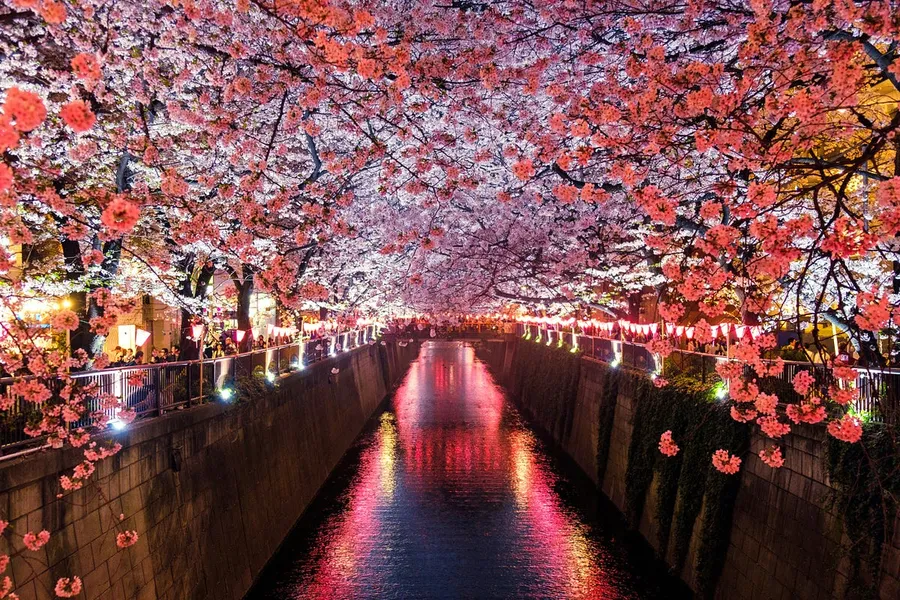 japan trip