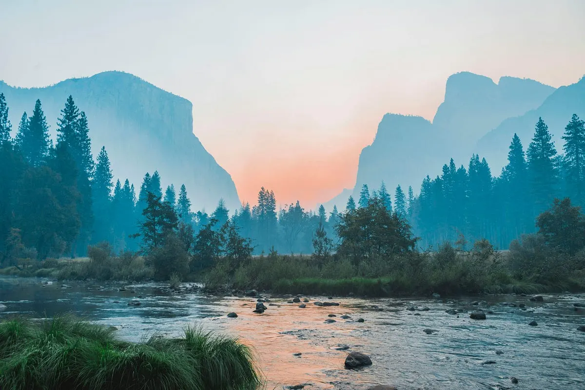 Best Camera for Landscape and Portrait Photography