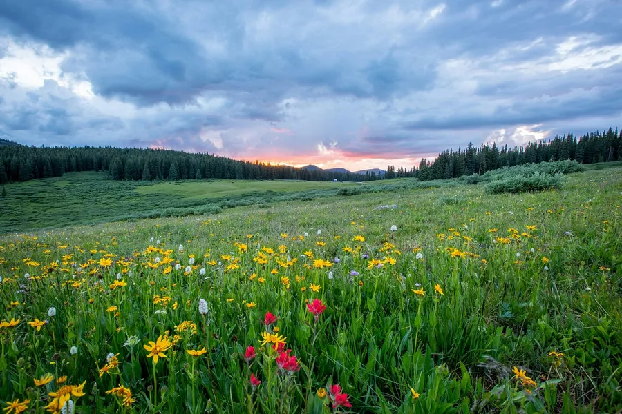 Landscape photography