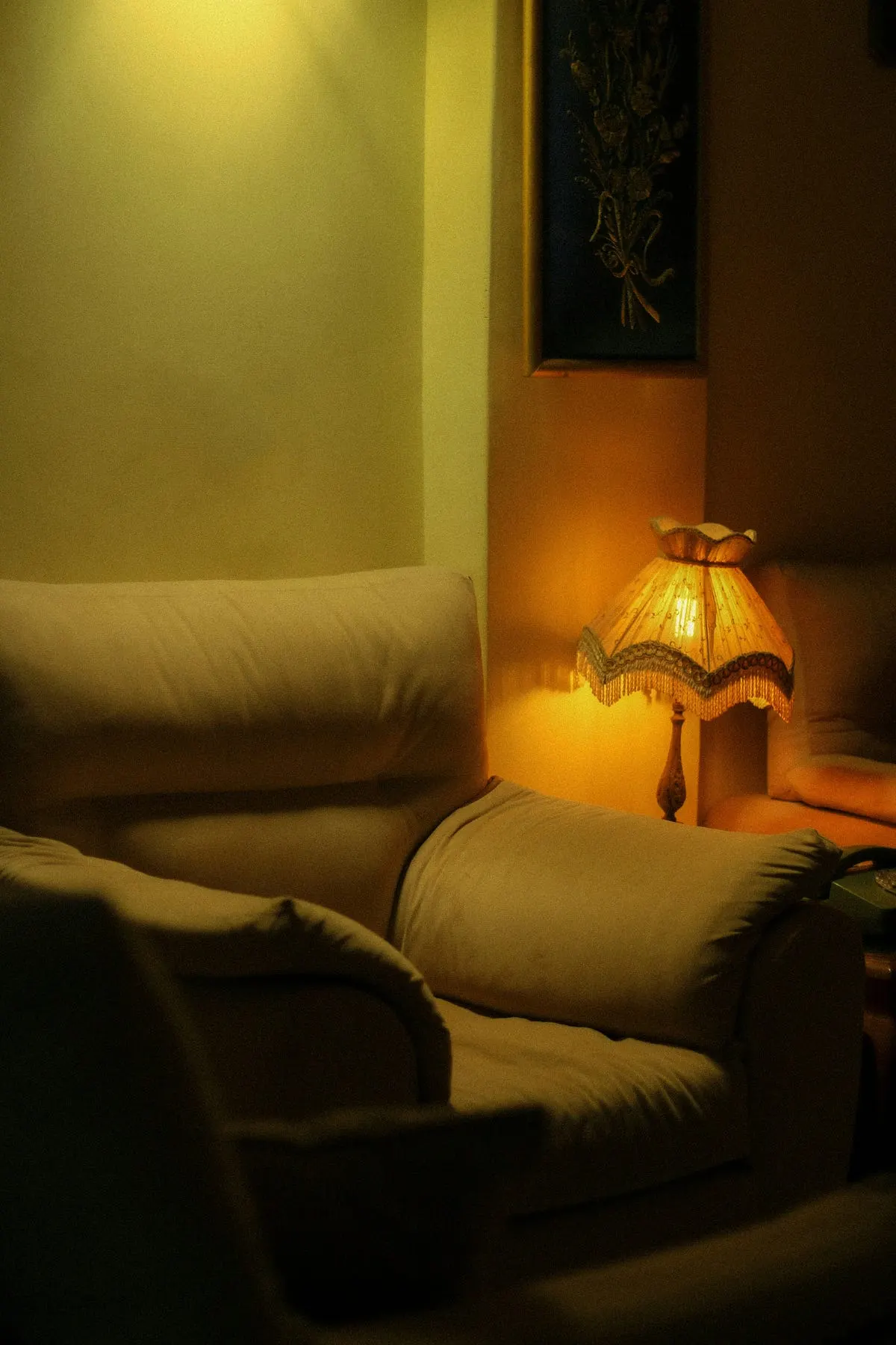Best Camera for Low Light
