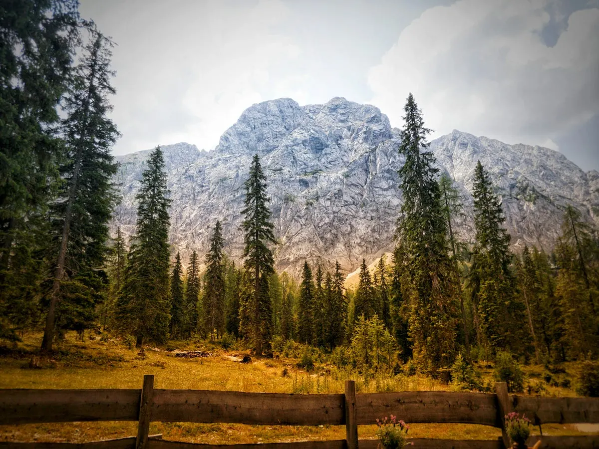 Best Camera for Nature Photography Beginner