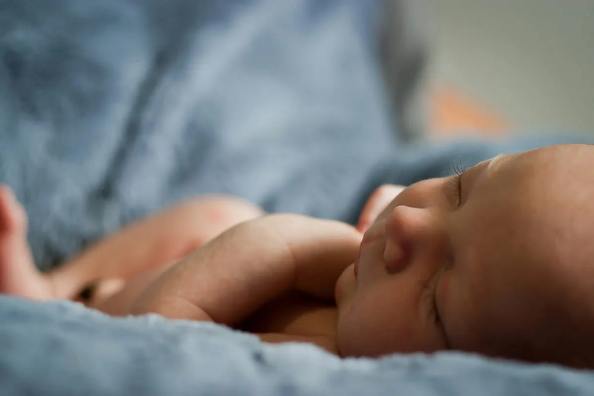 Best Camera for New Parents