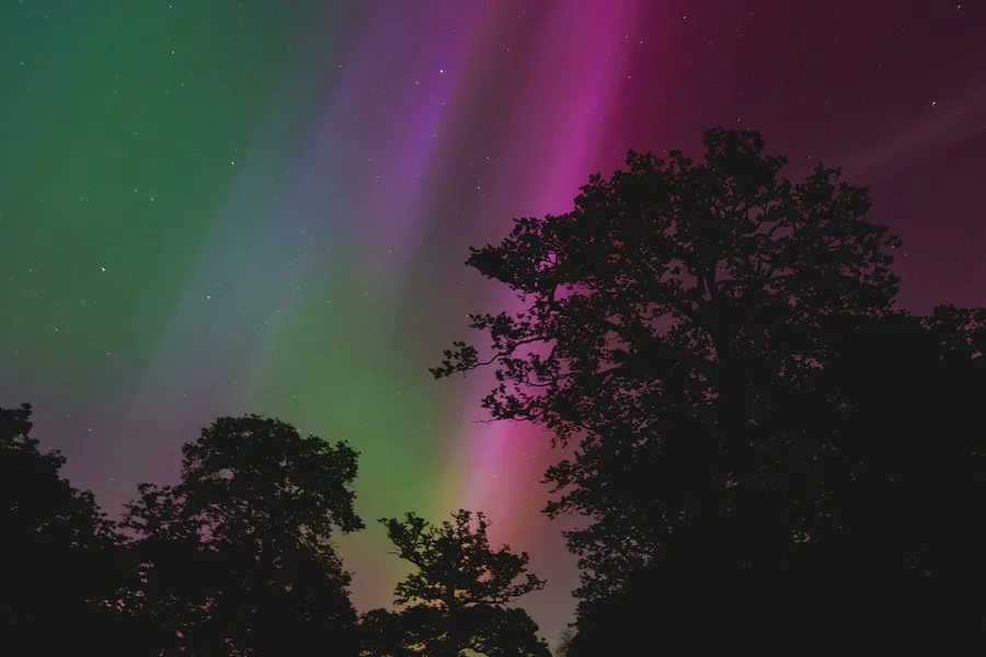 Best Camera for Night Video