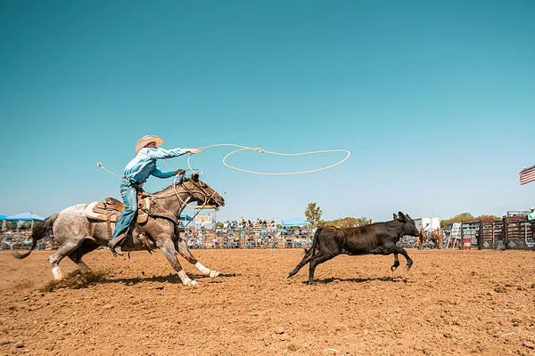 Best Camera for Rodeo Photography