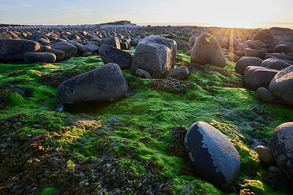 Best Camera For Travel Photography Beginners