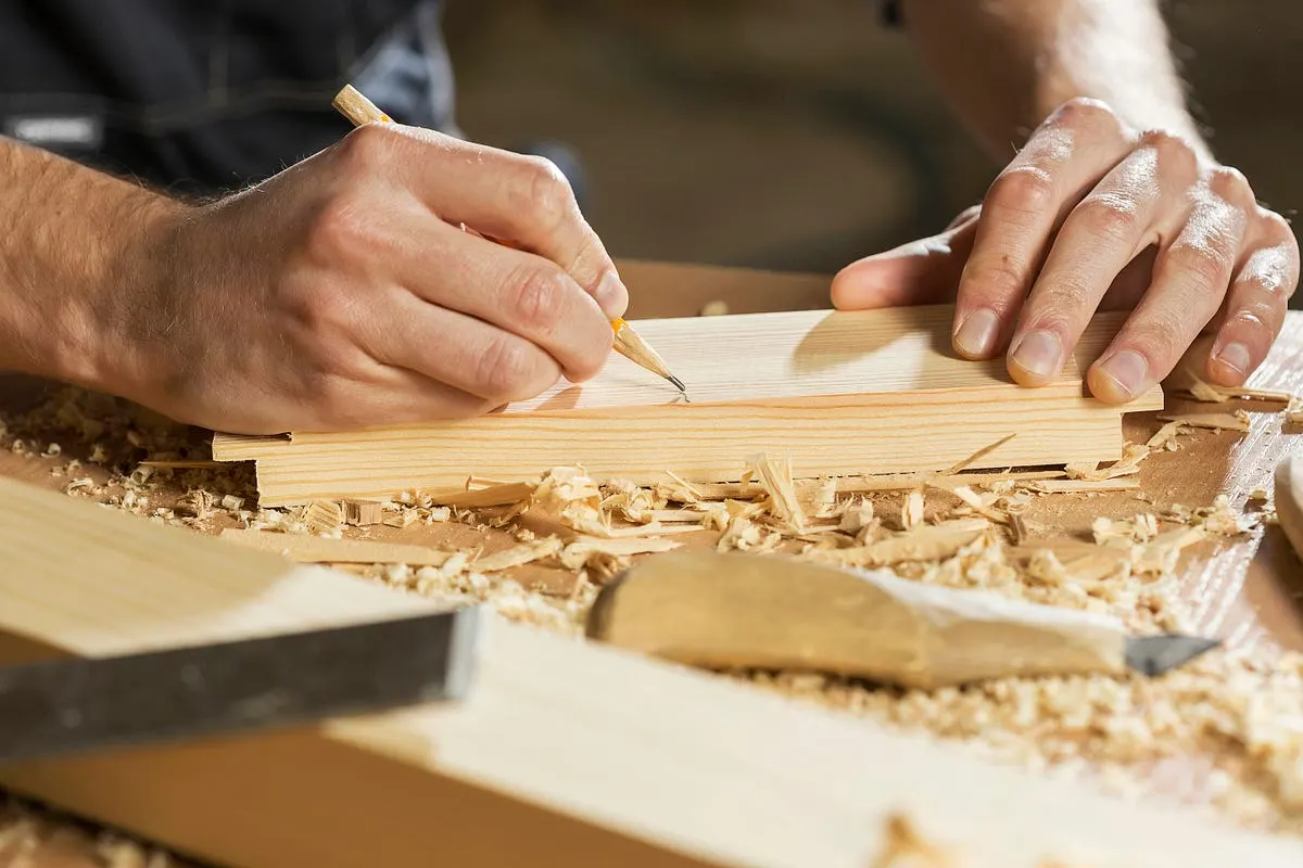 Best Camera for Woodworking Workshop Documentation