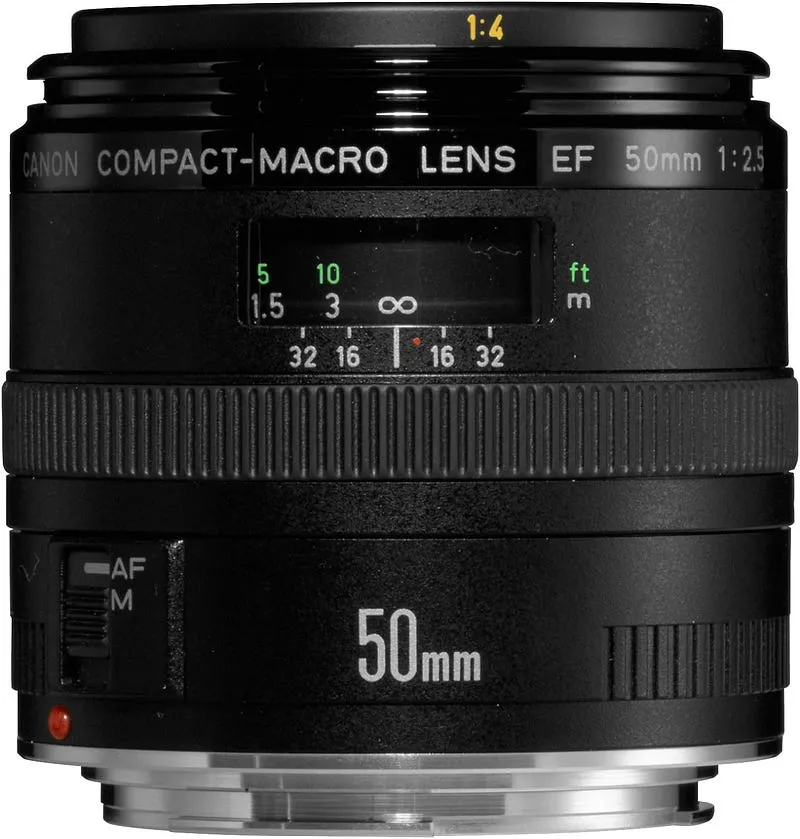 Best Cameras for Macro Photography Under $500