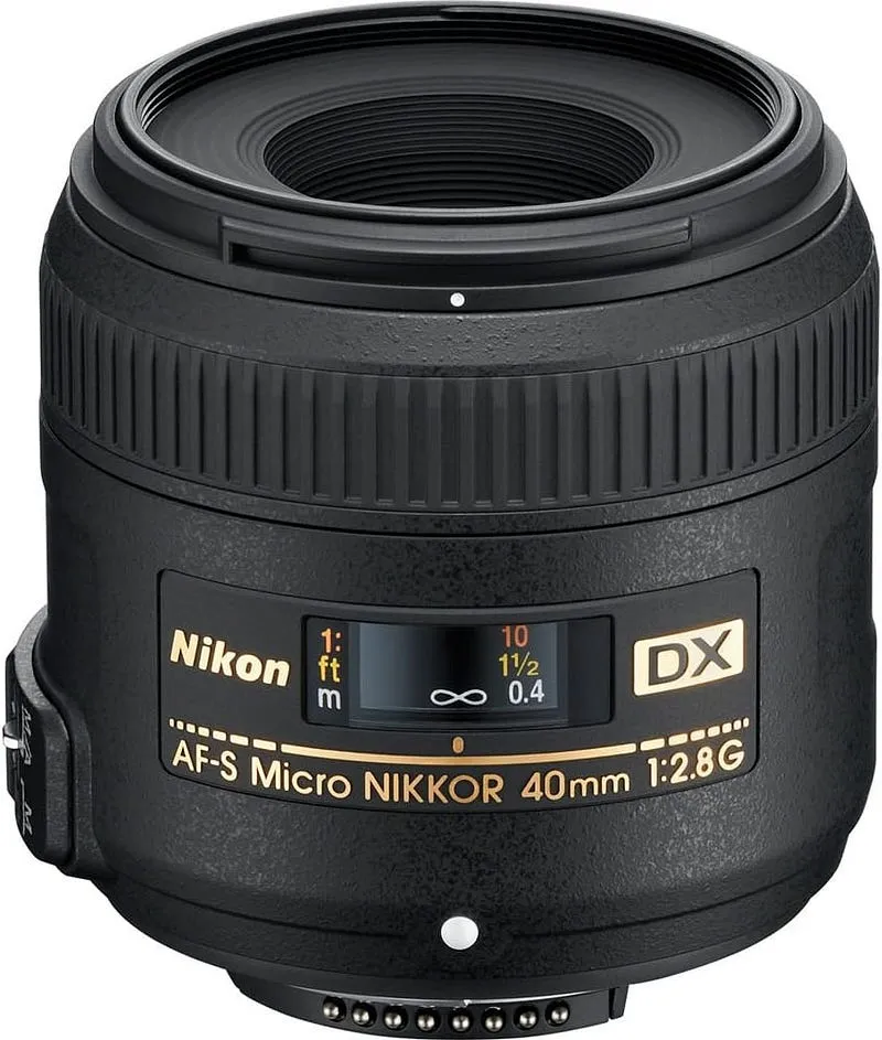 Best Cameras for Macro Photography Under $500