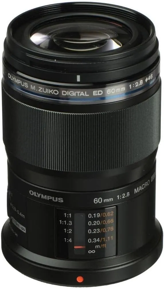 Best Cameras for Macro Photography Under $500