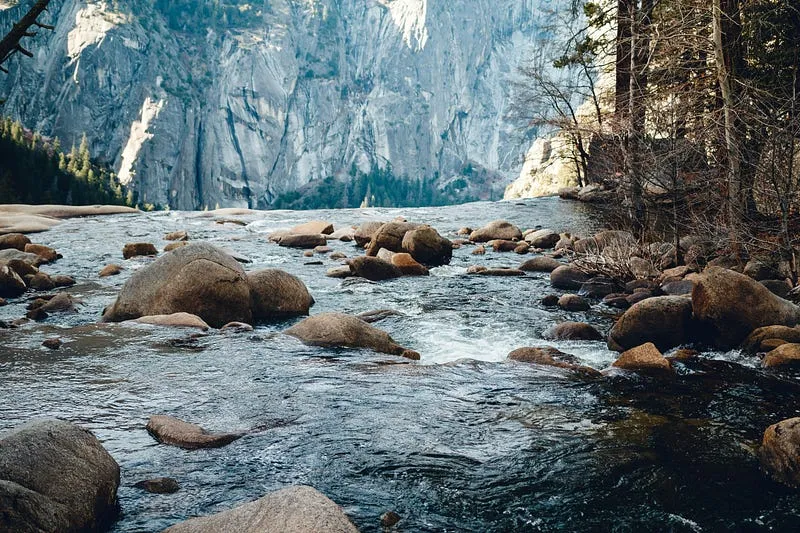 Best Cameras for Nature Photography in 2026