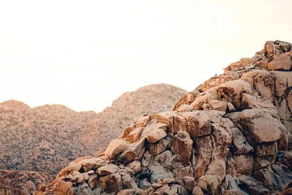 Best Cameras for Nature Photography in 2026