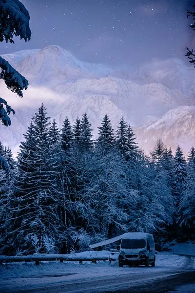 Best Cameras for Nature Photography in 2026