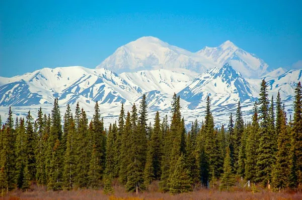 Best Cameras for Nature Photography in 2026