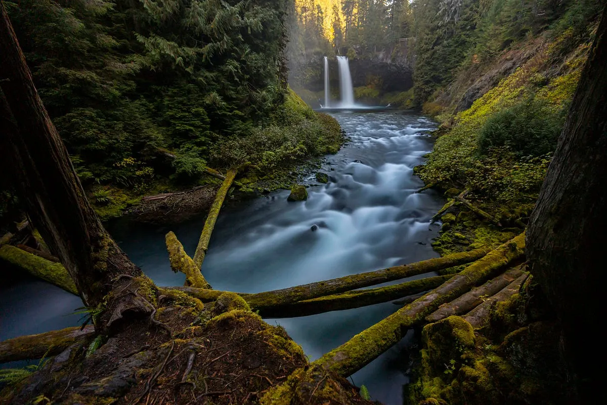 Best Fujifilm Cameras for Travel Adventures