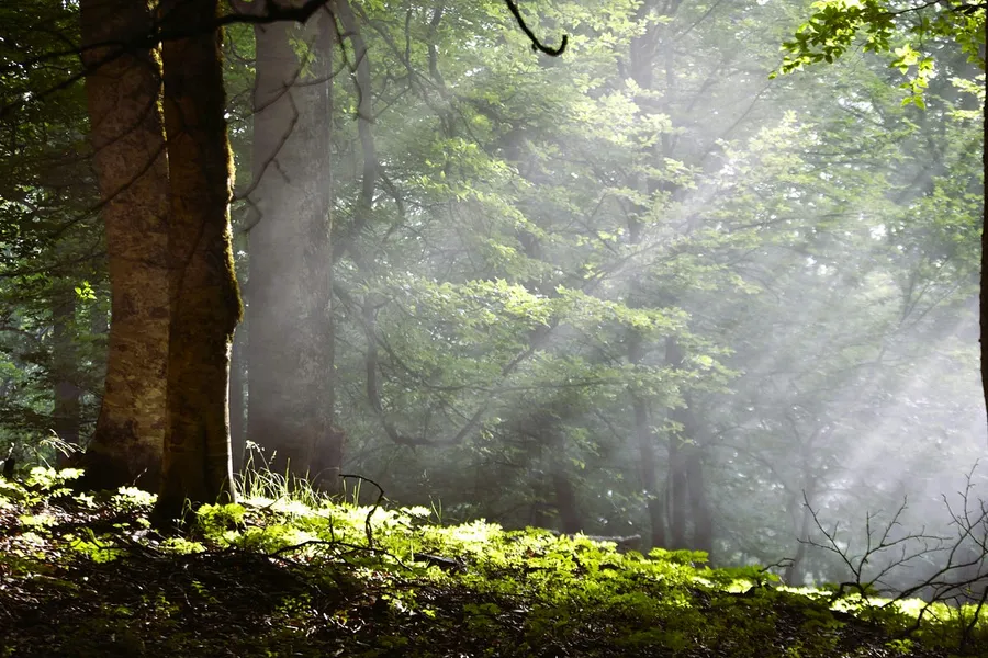 land photography