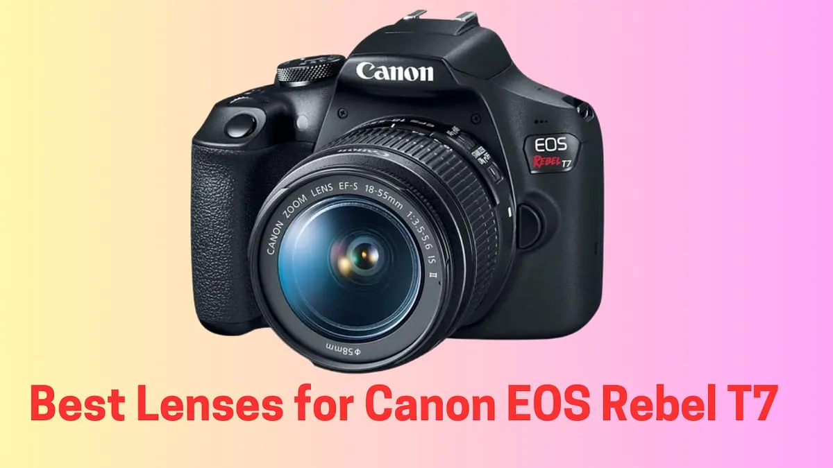 Best Lenses for Canon EOS Rebel T7