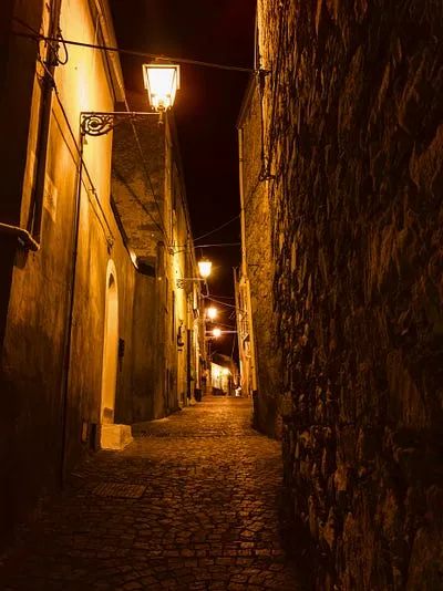 Best Lenses for Low Light Photography