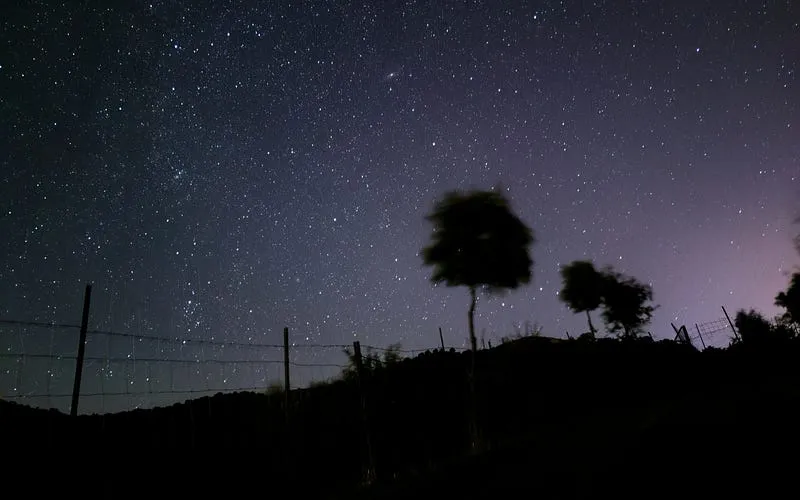 Best Lenses for Low Light Photography
