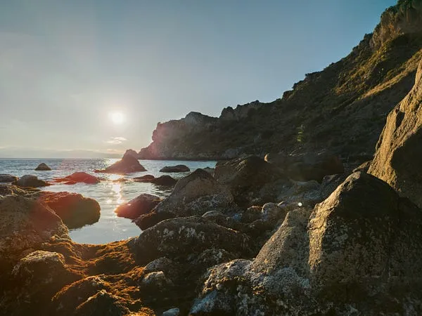 Best Lenses for Low Light Photography