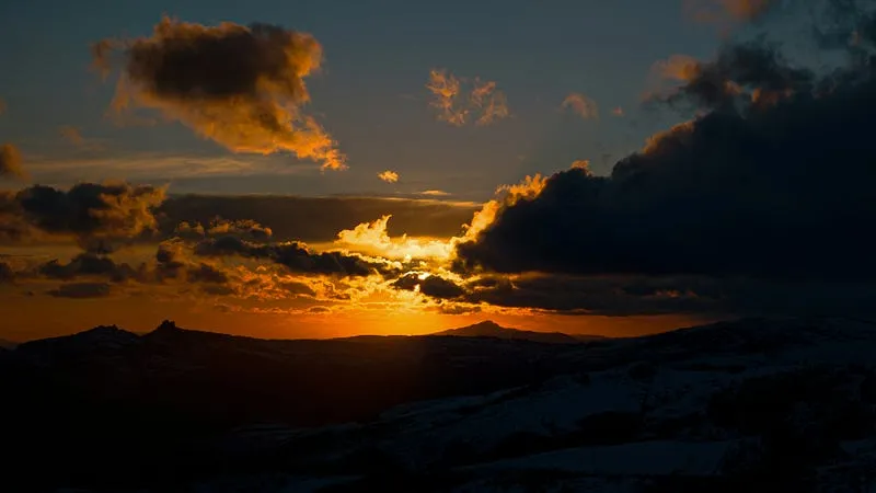 Best Lenses for Low Light Photography