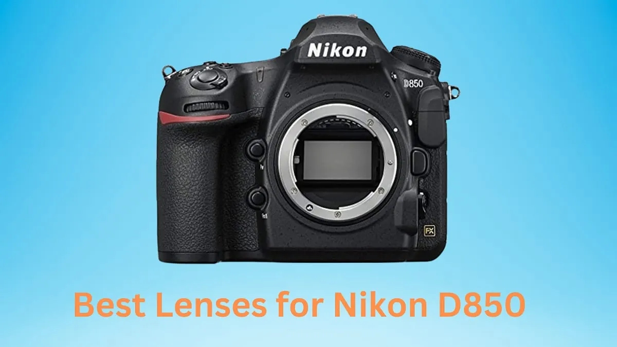 Best Lenses for Nikon D850