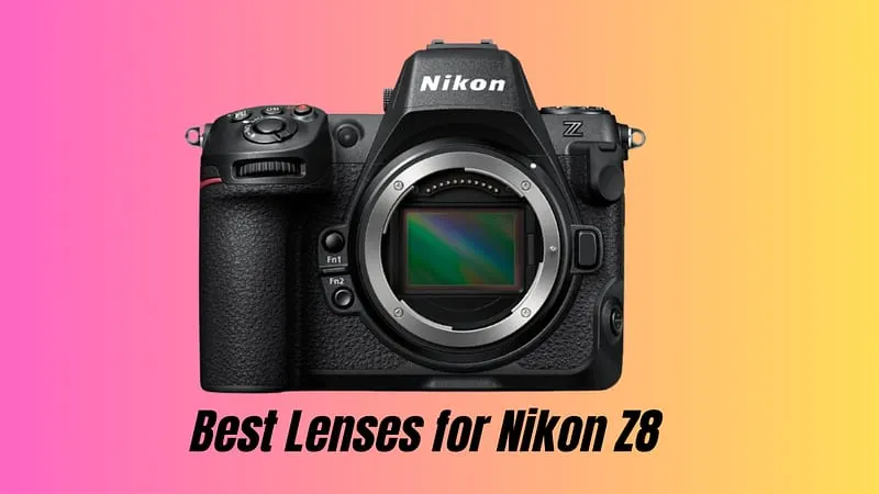 Best Lenses for Nikon Z8