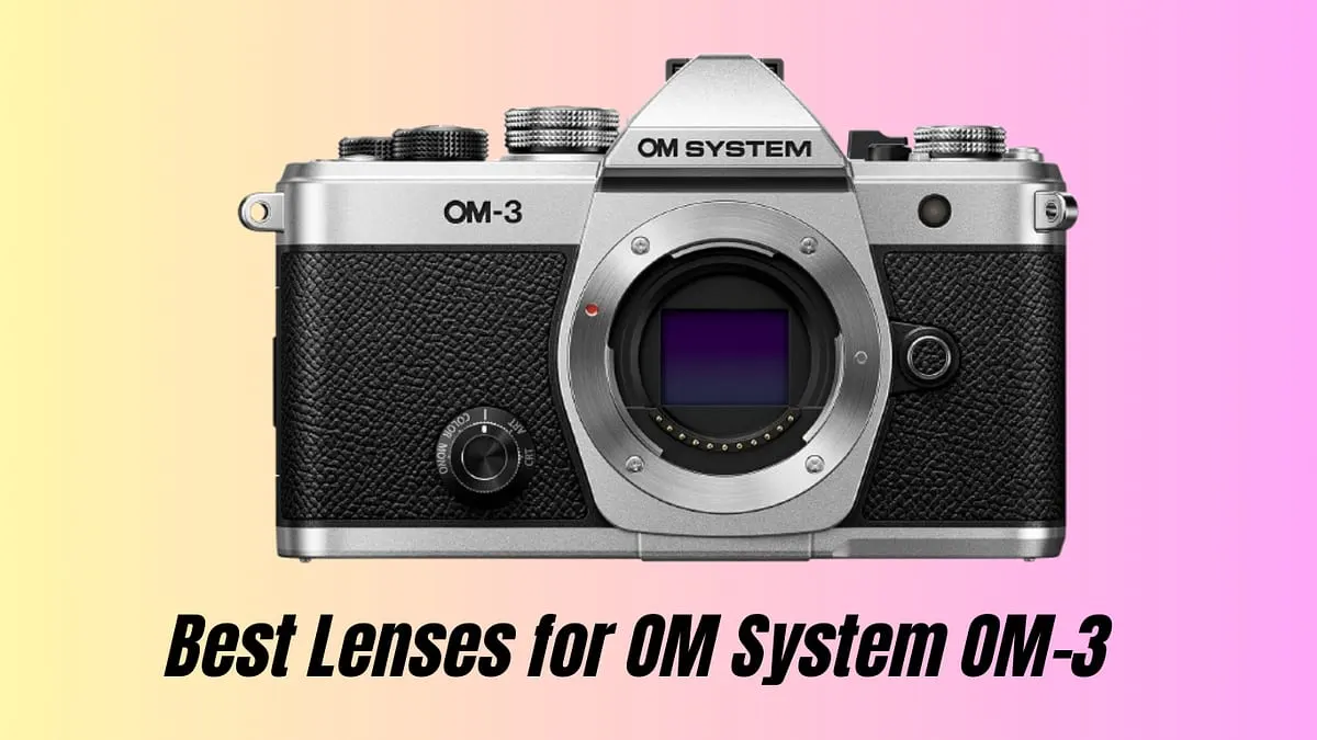 Best Lenses for OM System OM-3