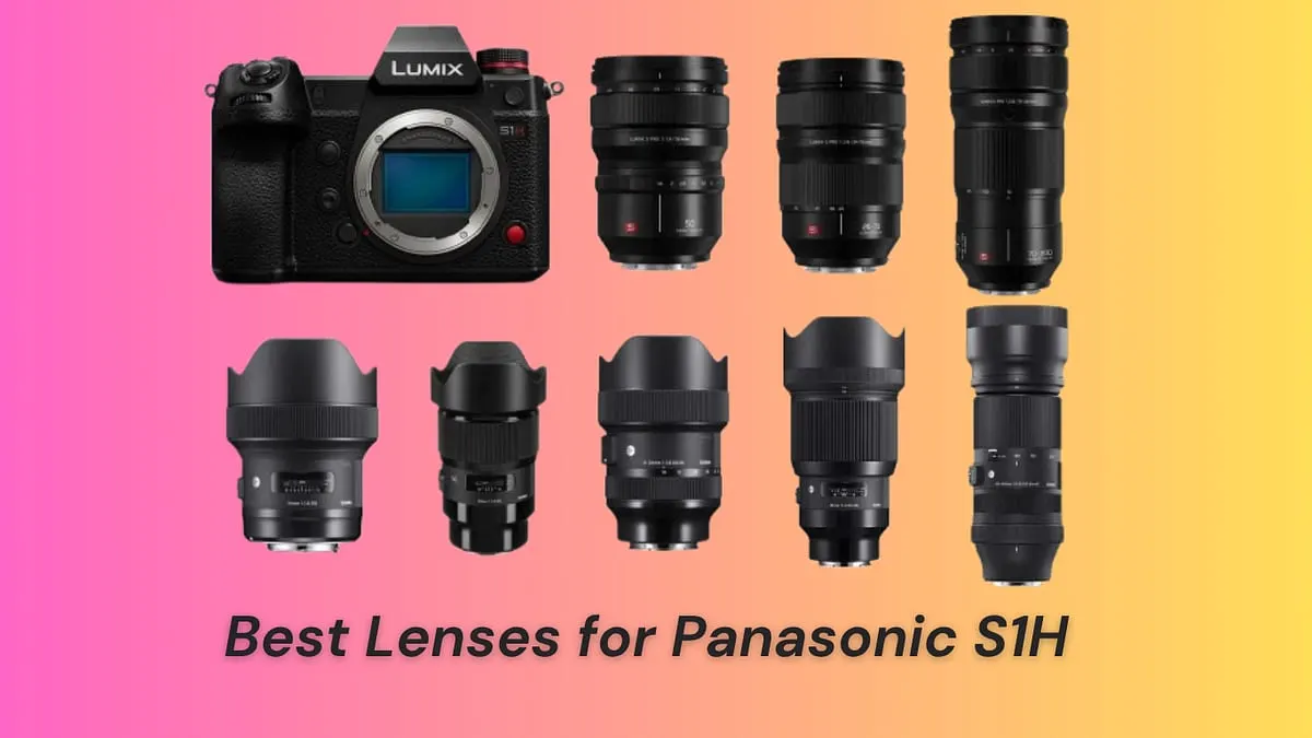 Best Lenses for Panasonic S1H