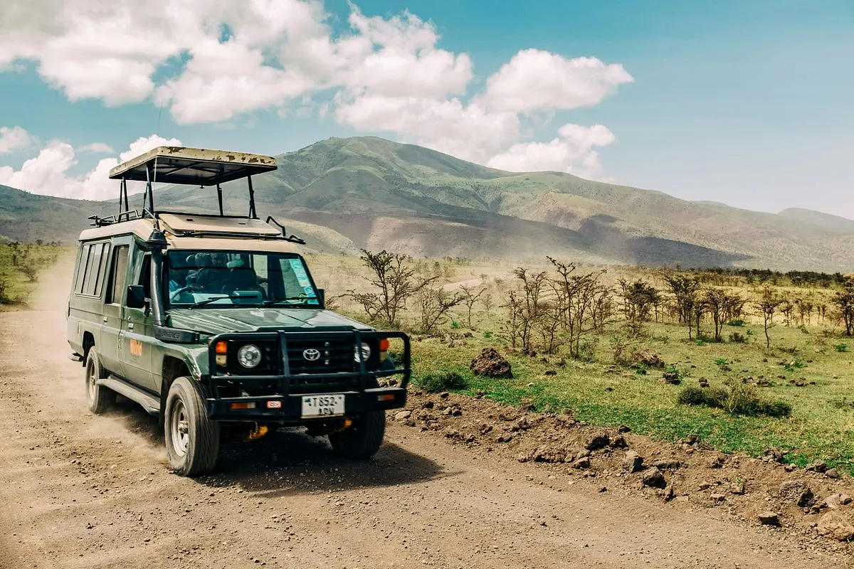 Best Lenses for Safari Photography