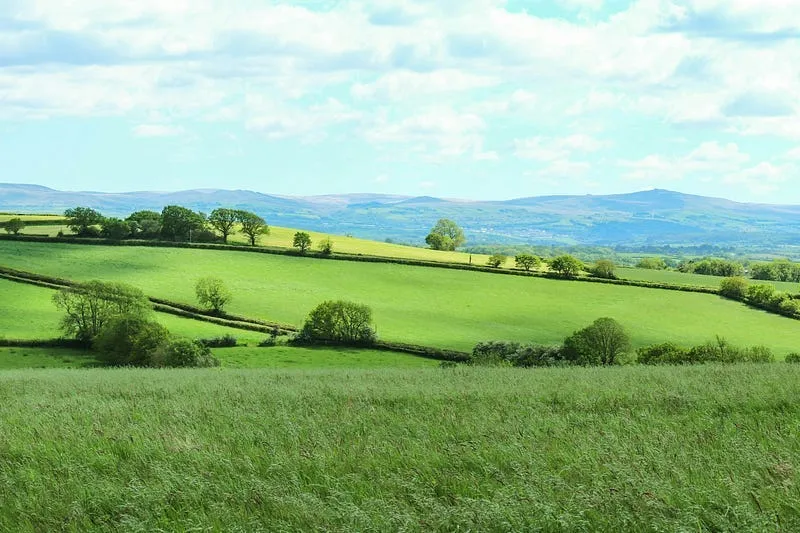 landscapes