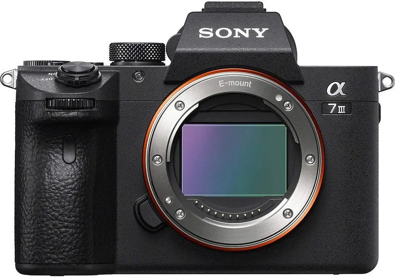 Best Mirrorless Camera for Professionals