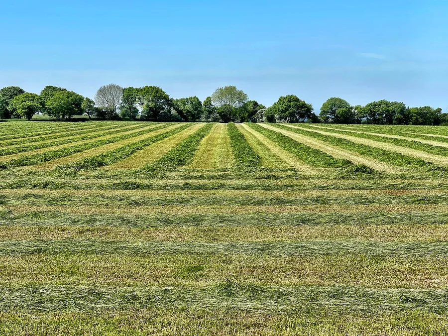 land photography