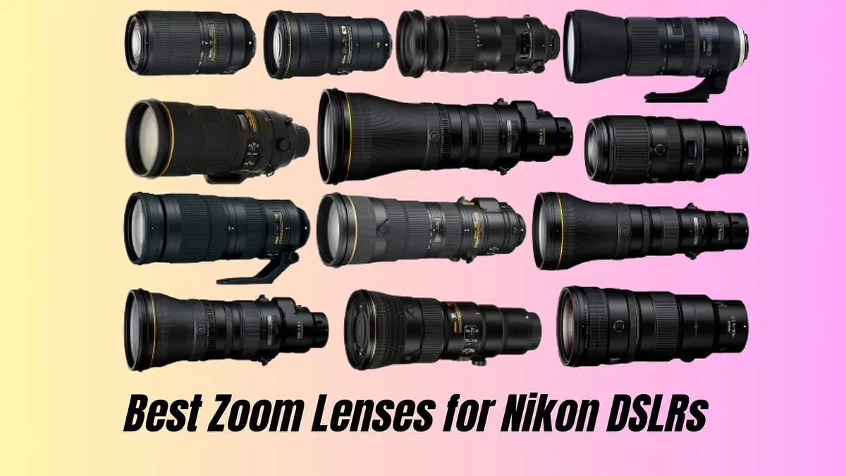 Best Zoom Lenses for Nikon DSLRs