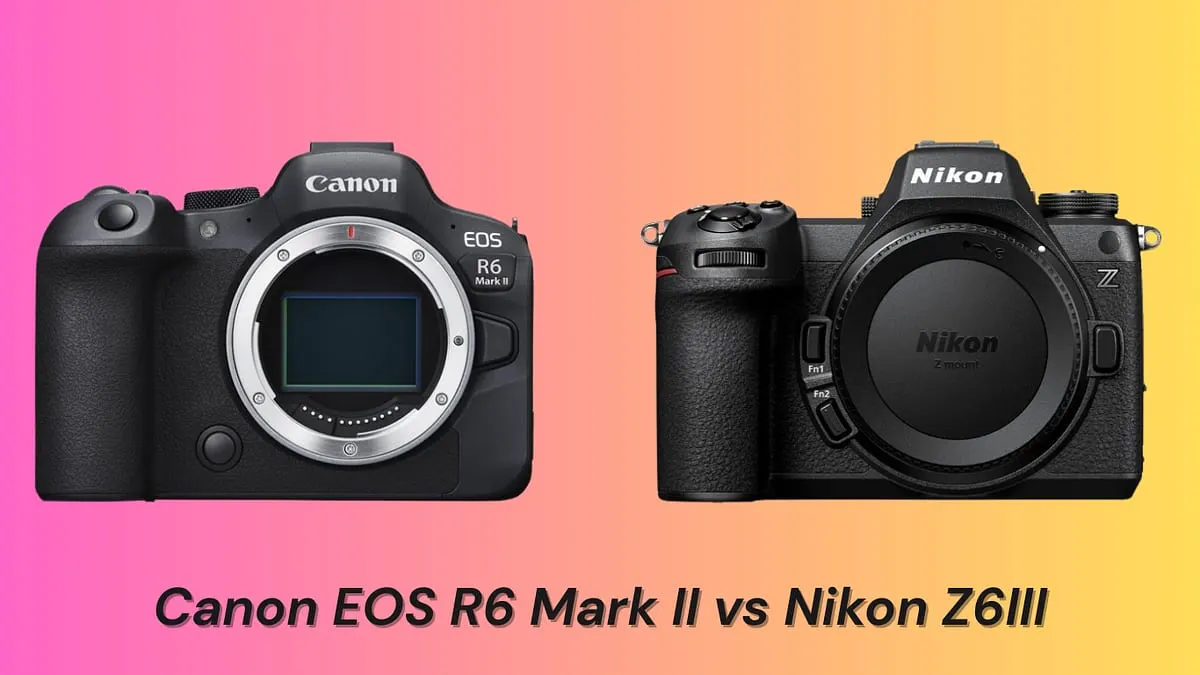 Canon EOS R6 Mark II vs Nikon Z6III