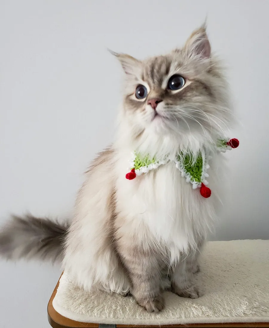 cute