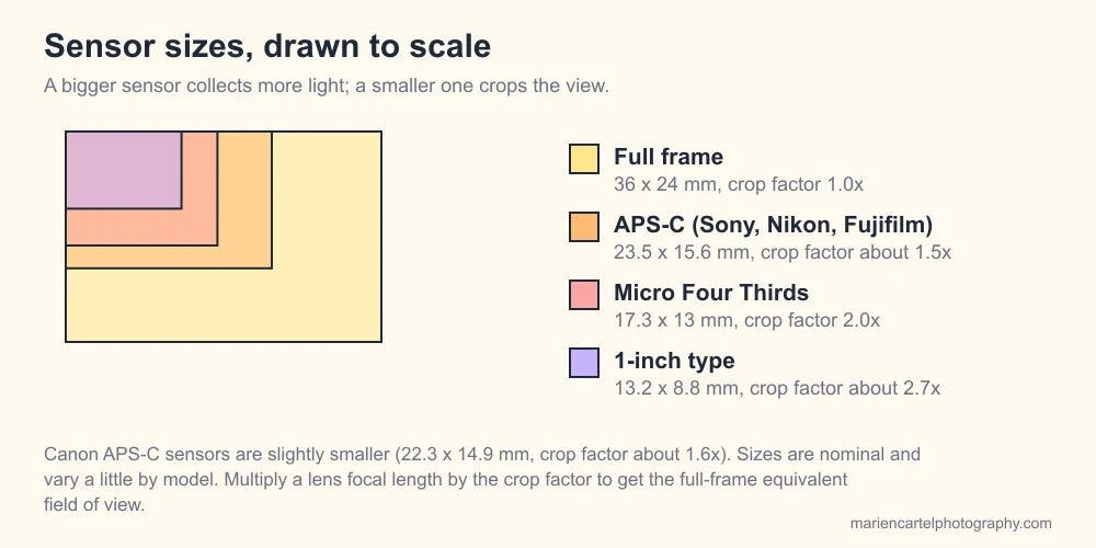 Dibujo a escala que compara los sensores de cámara full frame, APS-C, Micro Cuatro Tercios y de 1 pulgada
