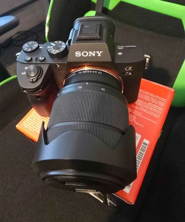 How to Choose a Lens for Wildlife and Bird Photography