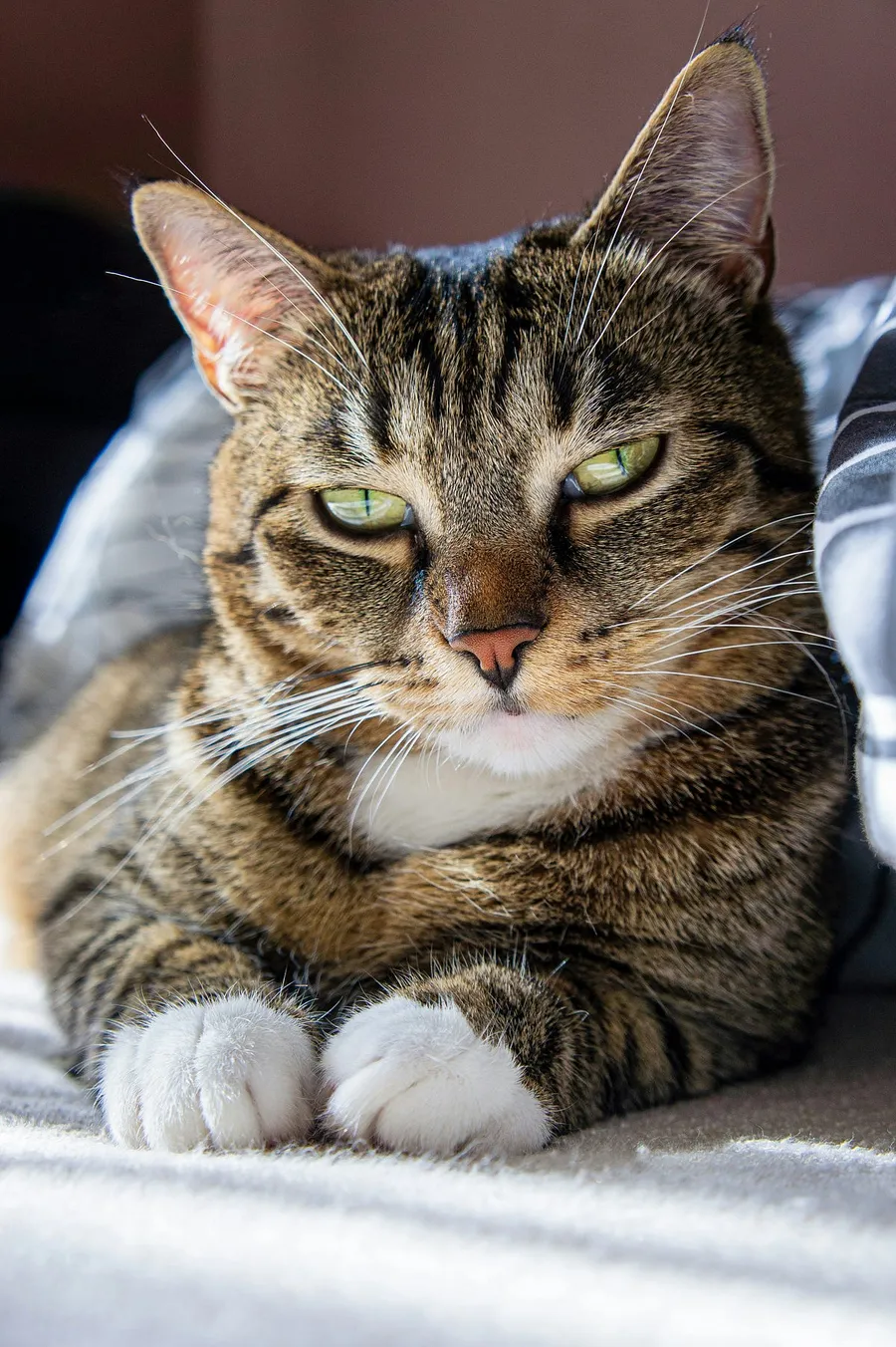 photography with Hasselblad XCD 75mm f/3.4 P