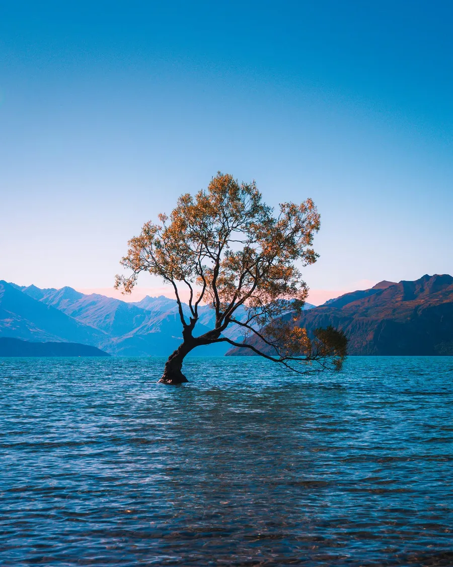 nature